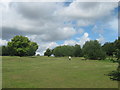 Recreational Ground beside Bursted Wood (2)