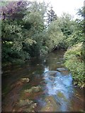 R7751 : Bilboa River near Cappamore by Neil Theasby