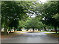 Southern Cemetery, Manchester