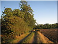 Farm track by Hornby Wood