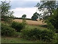 Farmland near Thorner