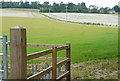 Footpath near Cookham Common