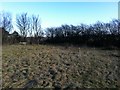 Cave Lane Allotment