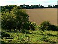 Farmland north-west of a byway near Weston