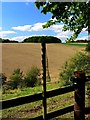 Stile and footpath, near Weston