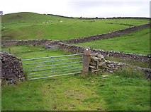 SD5561 : Gate and stile near Skelbow Barn by Raymond Knapman