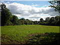 Paddock between Middlewood and the A59 near Chatburn