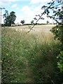 Footpath Near Great Addington