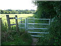 Kissing gate into cow pasture near Llangwm