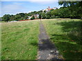 Path on Petersham Meadows