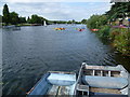 River Thames alongside Lower Ham Road