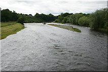NT5434 : River Tweed at Melrose by Mike Pennington