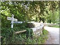 The bridge at Ashcombe