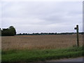 Footpath to The Street, Charsfield