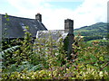 Part of Ty-canol farmhouse, above the Grwyne Fawr valley