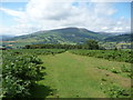 Sunlit turf in the Black Mountains below the Sugar Loaf