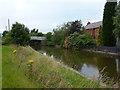 Trent & Mersey Canal at Bridge No 166