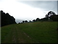 Footpath in the Black Mountains