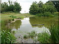 Pond on Barn Hill, Wembley