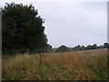 Footpath to Helmingham Church and the  B1077