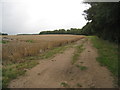 View alongside a shelter belt near Barrow Grange