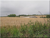 TA0519 : Barrow Vale Farm by Jonathan Thacker
