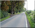 Whitson road passes entrance to Grade II* listed Whitson Court