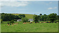 Pasture south of Olmarch, Ceredigion