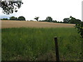 Hillside south of Gladder Brook