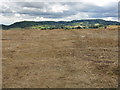 Field south of Dunley Road