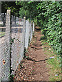 Footpath by Dogkennel Wood