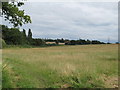TL4500 : Field near Ivy Chimneys by Roger Jones