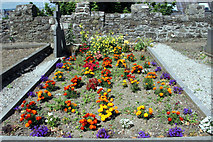 O2839 : Grave, St Mary's Churchyard, Howth, Ireland by Christine Matthews