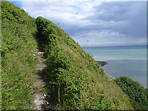 TR2638 : Steps up the cliff at Folkestone Warren by Marathon