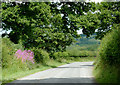 Lane east of  Llwyn-y-Groes, Ceredigion