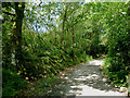 Farm road east of Comins Capel Betws, Ceredigion