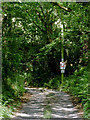 Farm road east of Comins Capel Betws, Ceredigion