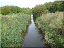 TQ5577 : Drainage ditch on Dartford Marshes by Marathon