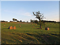 SK7804 : Abbey Farm - hay bales awaiting collection by Stephen Craven