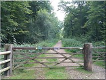 SU3011 : Gate and path into Brockishill Inclosure by David Martin