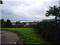 The Mersey and Queen Elizabeth Dock from Mayfield Drive