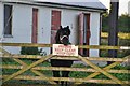 Mid Devon : Horse & Stables