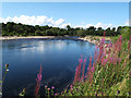 River Findhorn