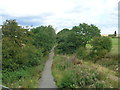 Cycle path on disused railway