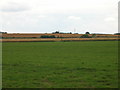 Farmland, Brampton Common