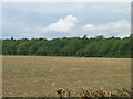 Farmland and woodland, Malpas Hill