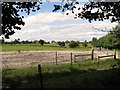 View towards Broom Hill from Minsmere Road