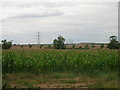 Farmland off Wilsic Lane