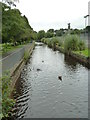 Tavistock Canal