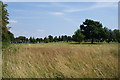 The western end of Merton and Sutton Cemetery